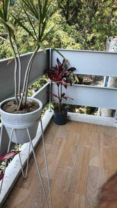 Cozy Apartment In Condesa'S Heart ! Мехіко Екстер'єр фото